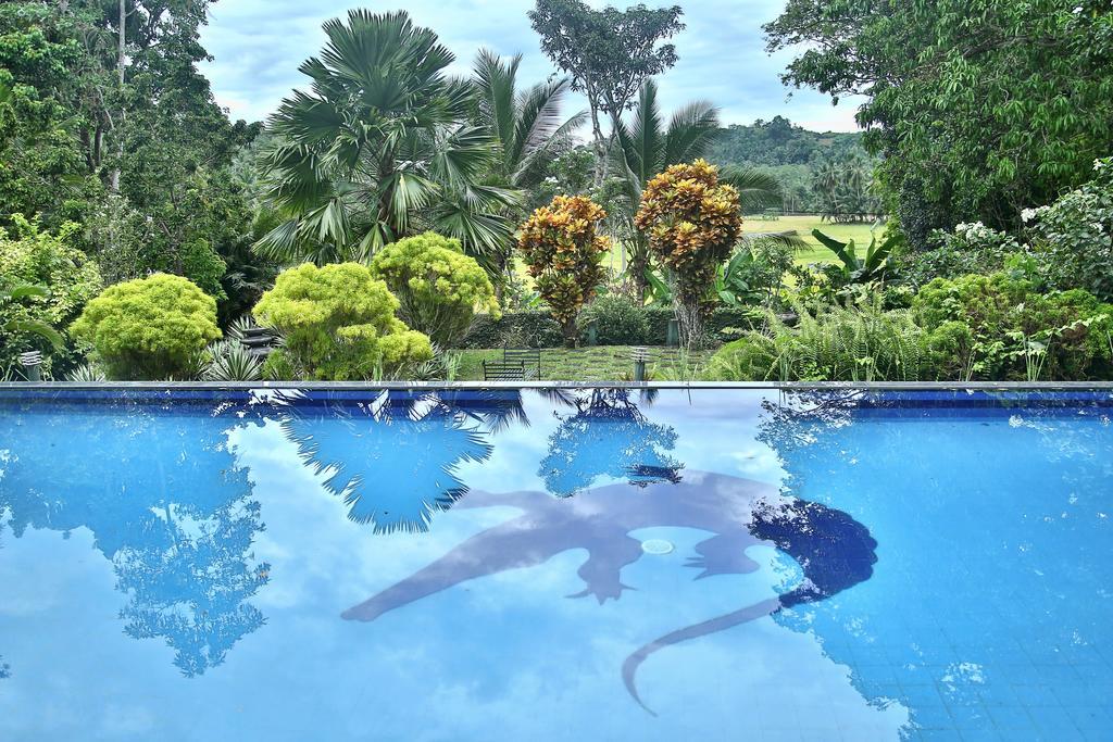 Lazy Lizard Hotel كالي المظهر الخارجي الصورة