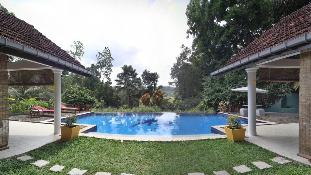 Lazy Lizard Hotel كالي المظهر الخارجي الصورة