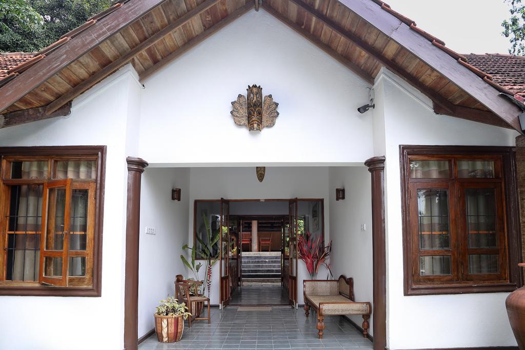 Lazy Lizard Hotel كالي المظهر الخارجي الصورة