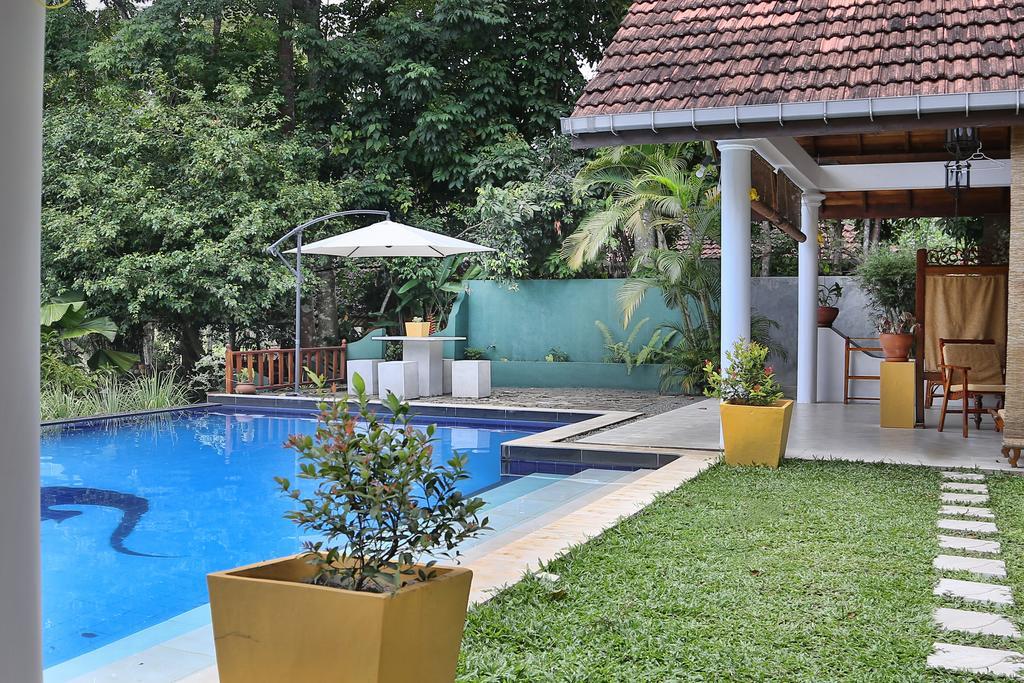 Lazy Lizard Hotel كالي المظهر الخارجي الصورة